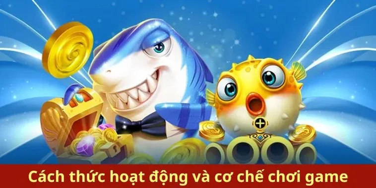 Hướng Dẫn Chơi Bắn Cá Royal Fishing Tại K8CC Để Thắng Lớn Dễ Dàng 2 Hướng Dẫn Chơi Bắn Cá Royal Fishing Tại K8CC Để Thắng Lớn Dễ Dàng