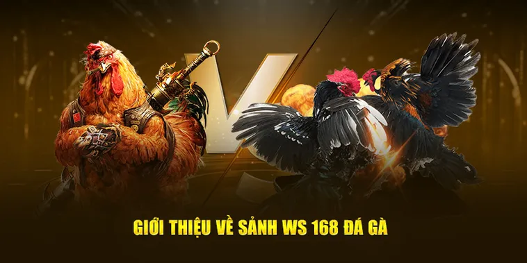 Mẹo Chơi Đá Gà WS168 Tại K8CC Dễ Thắng Cho Mọi Sư Kê 2 Mẹo Chơi Đá Gà WS168 Tại K8CC Dễ Thắng Cho Mọi Sư Kê