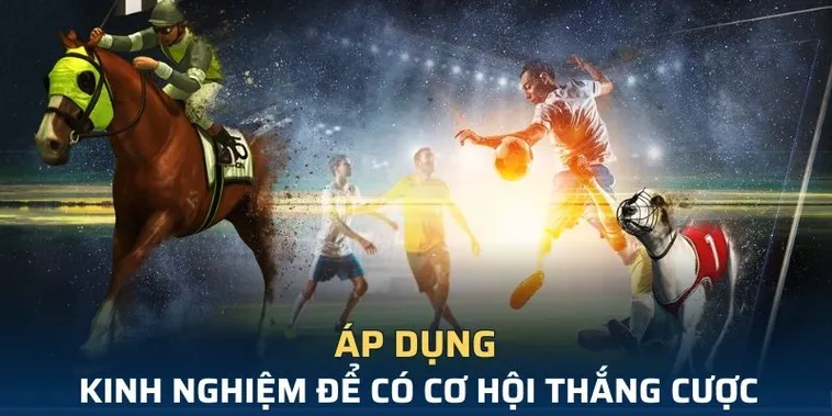 Tìm Hiểu Cá Cược Thể Thao Ảo K8CC Để Thắng Lớn Mỗi Ngày 2 Tìm Hiểu Cá Cược Thể Thao Ảo K8CC Để Thắng Lớn Mỗi Ngày